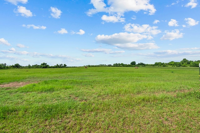 129 Hayes Rd, Mauk, GA 31058 - view of undeveloped land with rural landscape