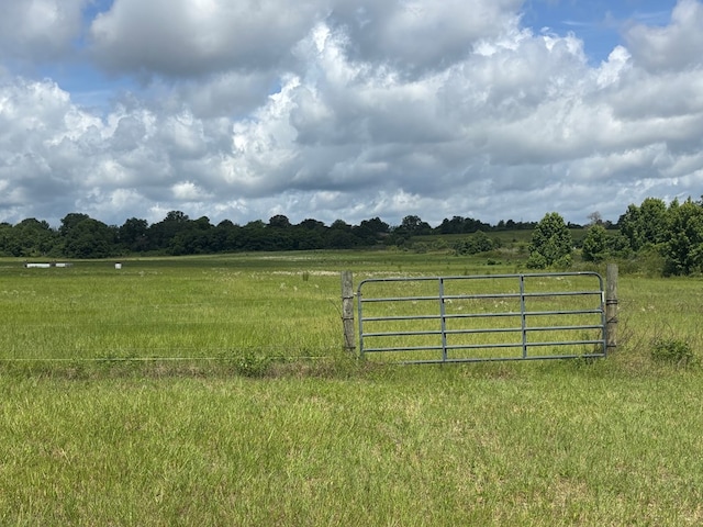 129 Hayes Rd, Mauk, GA 31058 - view of yard with a rural view