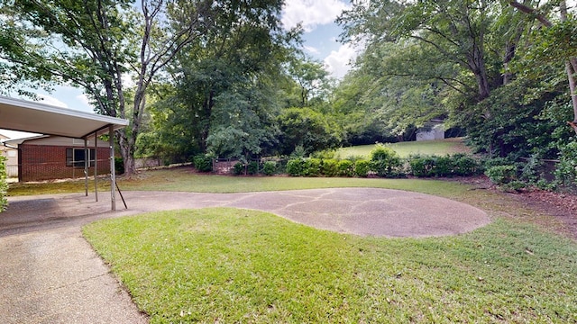 view of green lawn