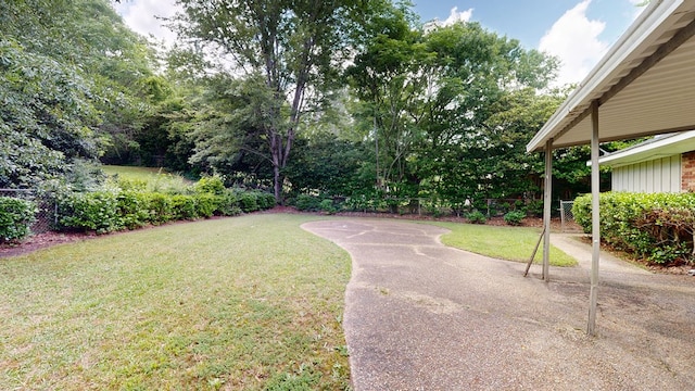 view of yard featuring a patio area
