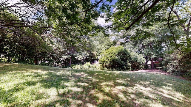 view of green lawn