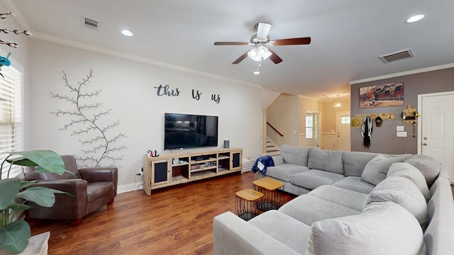 living area featuring a ceiling fan, crown molding, visible vents, and wood finished floors