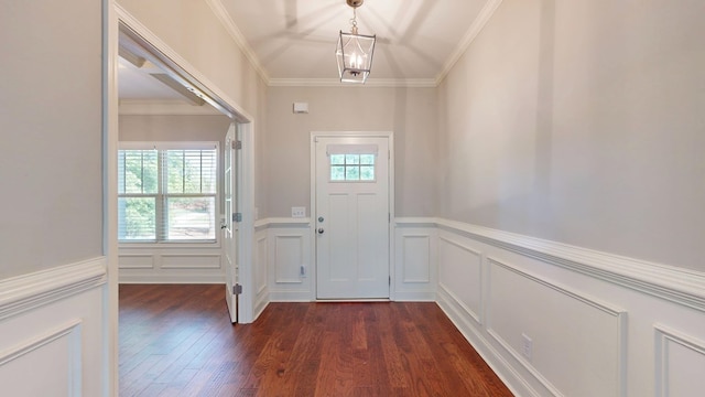doorway featuring a wainscoted wall, plenty of natural light, a decorative wall, and dark wood-style floors