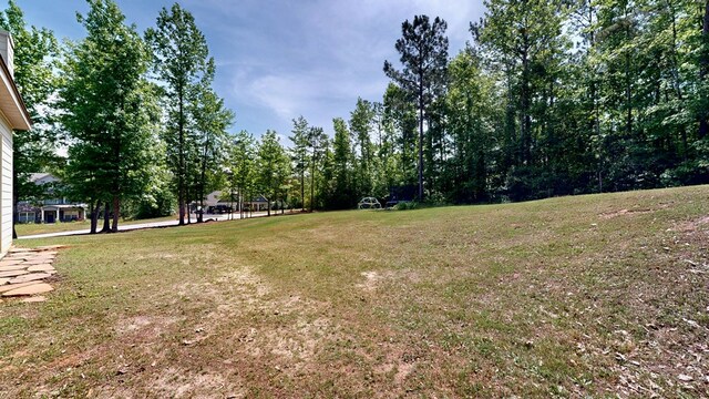 24 Hawthorne Ct, Waverly Hall, GA 31831 - photo 56