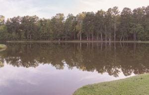 BLK29LOT31 Heather Cir, Waverly Hall, GA 31831