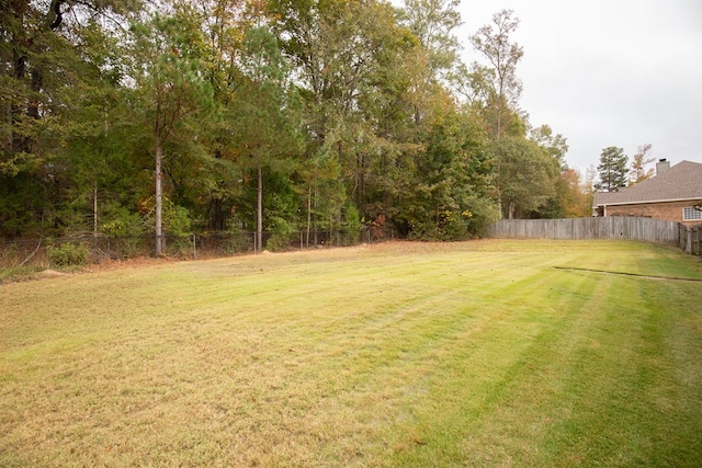 view of yard