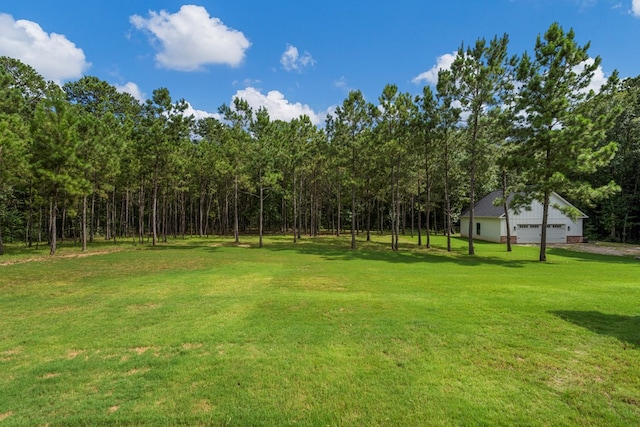 1888 Lee Road 0430, Smiths Station, AL 36877 - photo 39