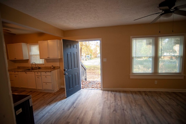 interior space featuring sink, hardwood / wood-style flooring, plenty of natural light, and a textured ceiling