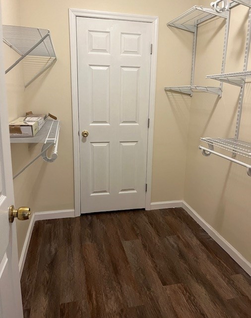 spacious closet with dark wood-type flooring