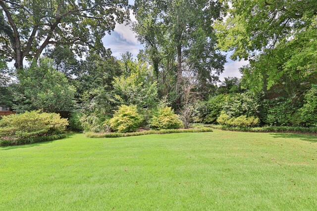 1806 Elmwood Dr, Columbus, GA 31906 - photo 33