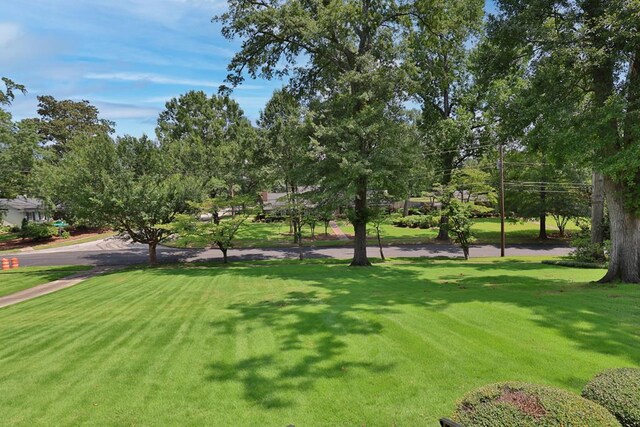1806 Elmwood Dr, Columbus, GA 31906 - photo 36