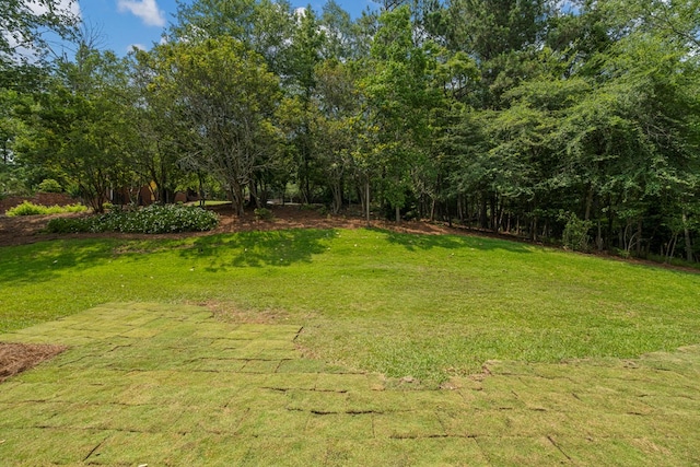 1425 Dartmouth Rd, Columbus, GA 31904 - view of green lawn
