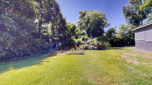 205 19th St, Phenix City, AL 36867 - view of grassy yard