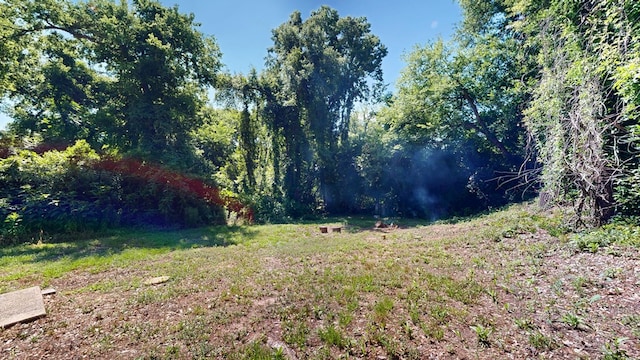 205 19th St, Phenix City, AL 36867 - view of yard featuring a wooded view