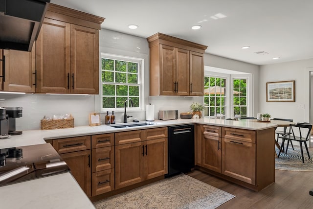 kitchen with a wealth of natural light, a peninsula, a sink, and dishwasher