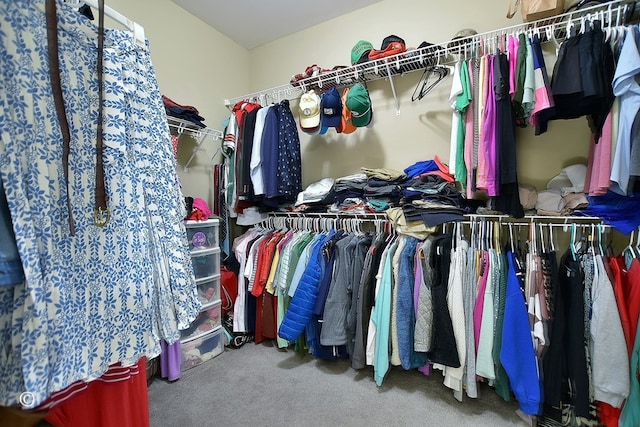 spacious closet with carpet