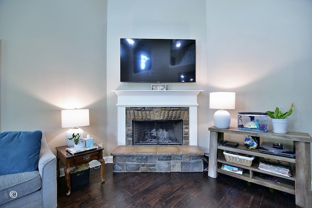 living room featuring a fireplace and wood-type flooring