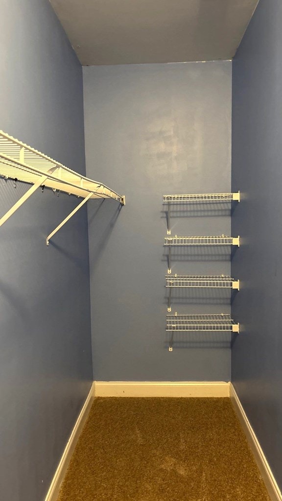 5 Rusty Dr, Phenix City, AL 36869 - walk in closet featuring carpet floors