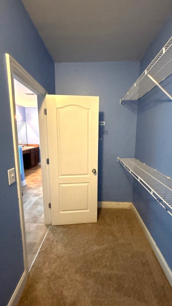 5 Rusty Dr, Phenix City, AL 36869 - walk in closet featuring carpet floors