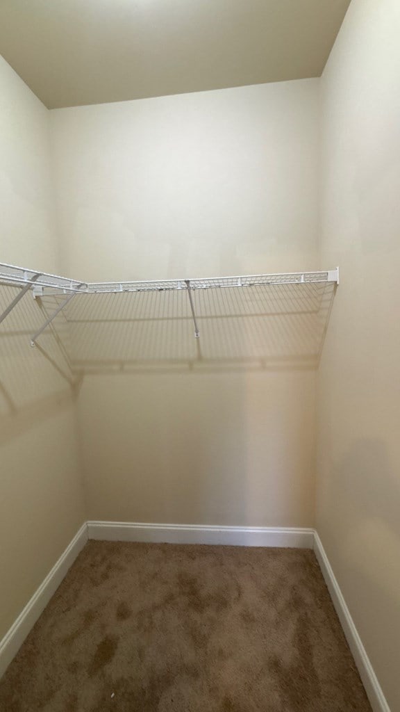5 Rusty Dr, Phenix City, AL 36869 - spacious closet with carpet floors