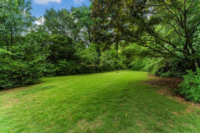 6256 Cricket Ln, Columbus, GA 31909 - view of green lawn