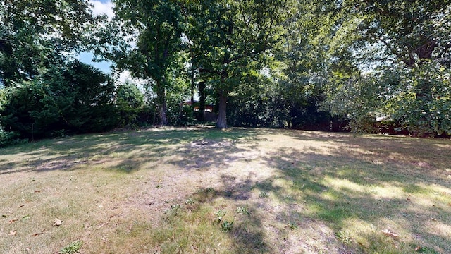 1225 Chaplin Dr, Columbus, GA 31904 - view of green lawn