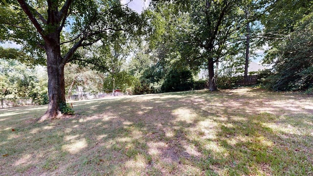 1225 Chaplin Dr, Columbus, GA 31904 - view of yard