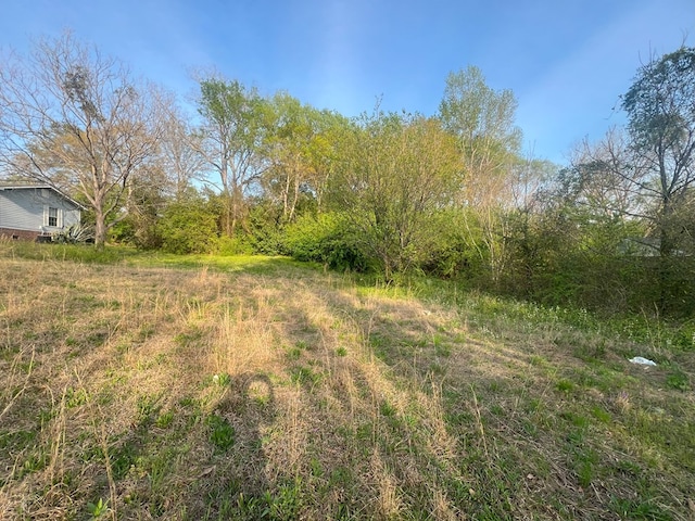 0 S 11th Ave, Phenix City, AL 36869 - photo 2