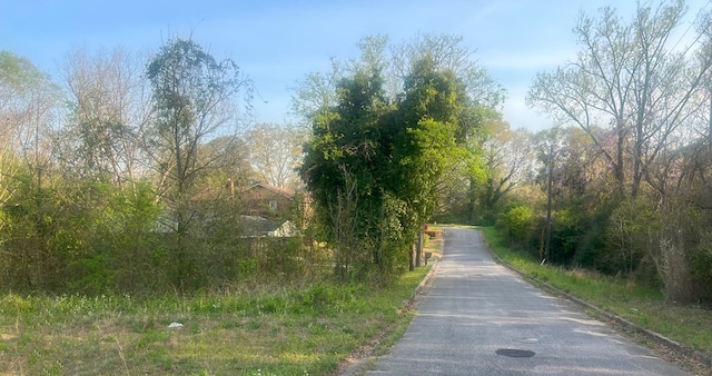0 S 11th Ave, Phenix City, AL 36869 - photo 3