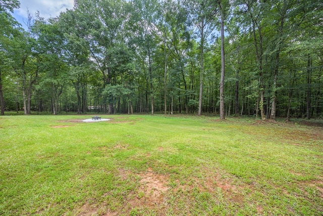 889 Lee Rd Unit 0424, Salem, AL 36874 - photo 34