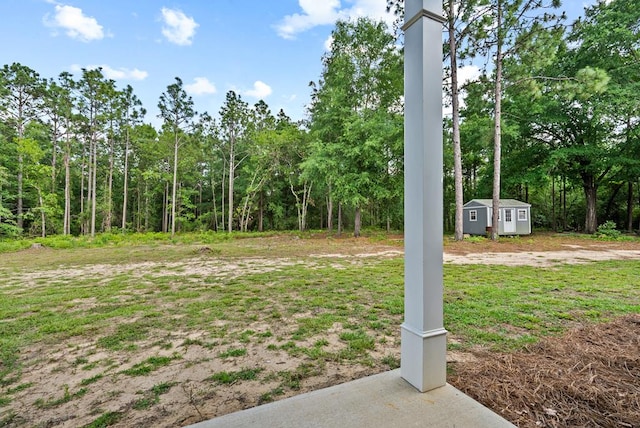 5784 Ga Highway 0355, Box Springs, GA 31801 - view of yard