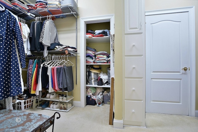 spacious closet with light carpet