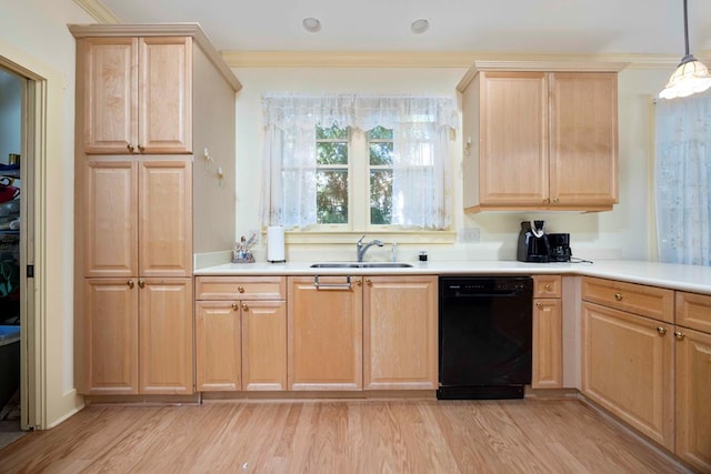 kitchen with light wood-type flooring, dishwasher, light brown cabinetry, and a sink