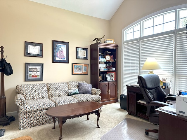 4804 Champions Way, Columbus, GA 31909 - office area featuring light colored carpet and lofted ceiling