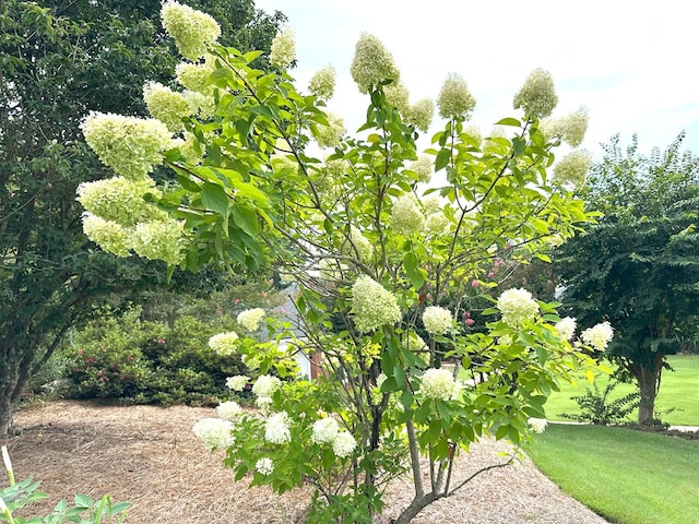 4804 Champions Way, Columbus, GA 31909 - view of yard