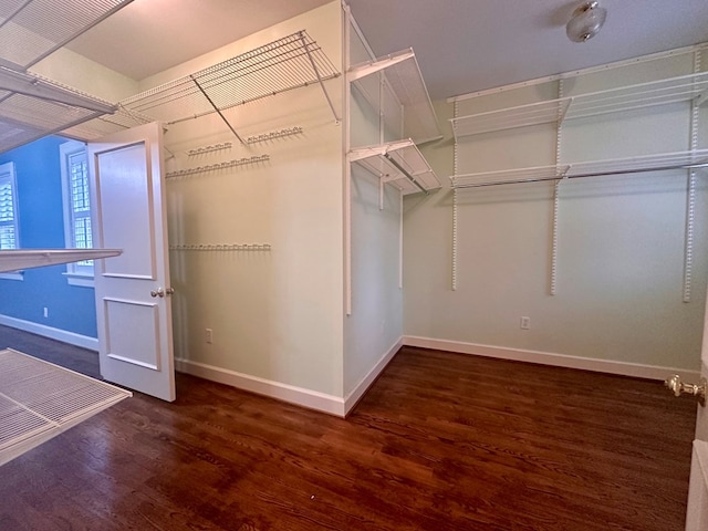 spacious closet featuring dark hardwood / wood-style flooring