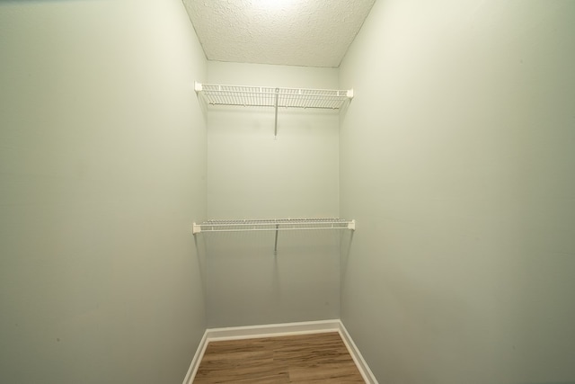 walk in closet with wood-type flooring