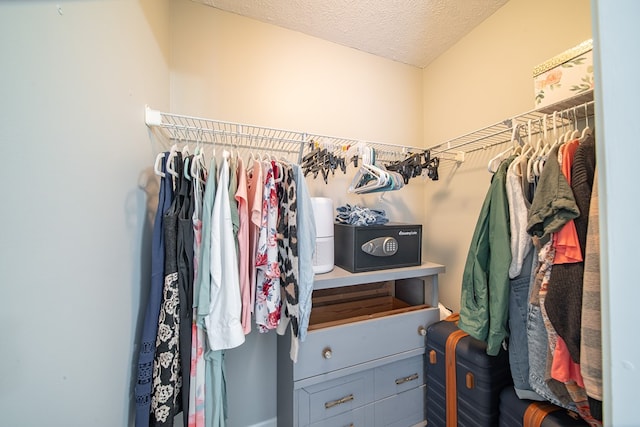 view of walk in closet