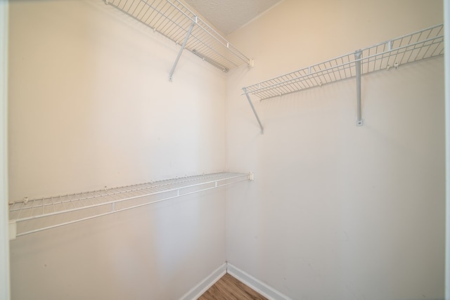 spacious closet featuring wood-type flooring