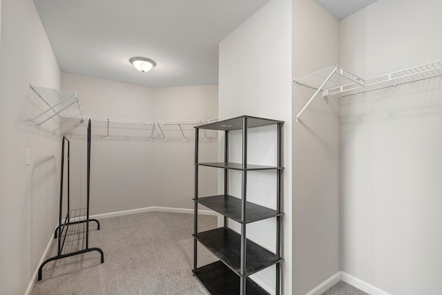 walk in closet with light carpet