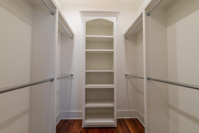 spacious closet featuring dark hardwood / wood-style flooring