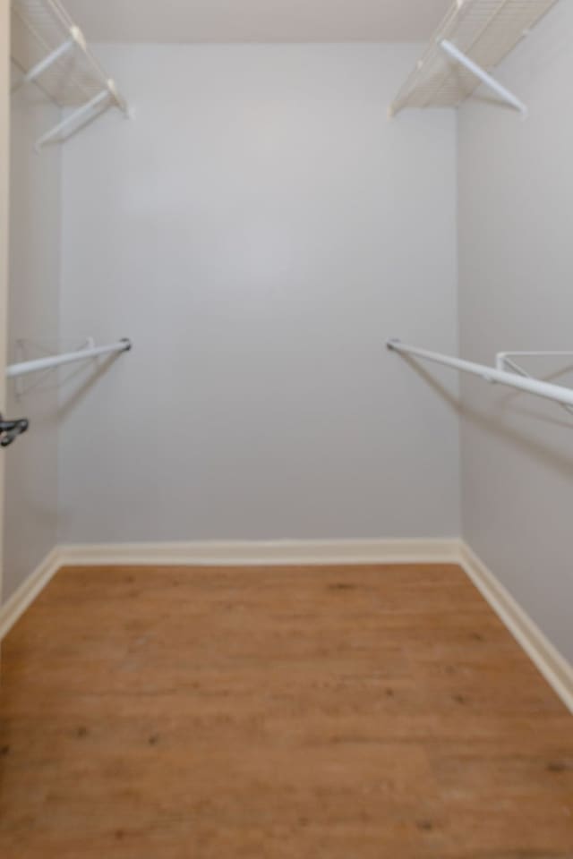 walk in closet with light wood-style flooring