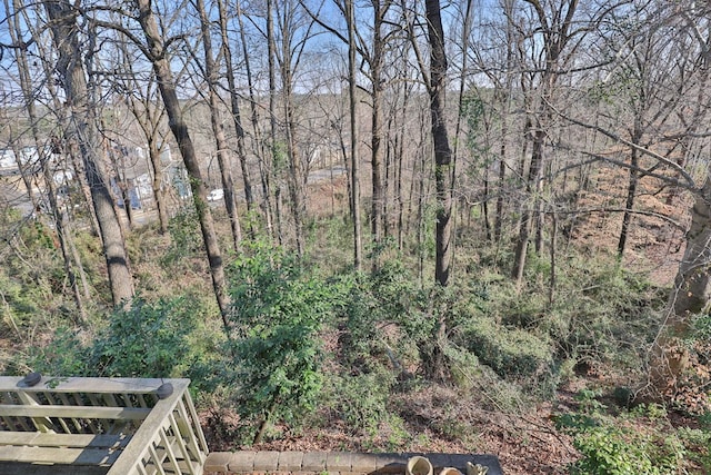 view of yard with a wooded view