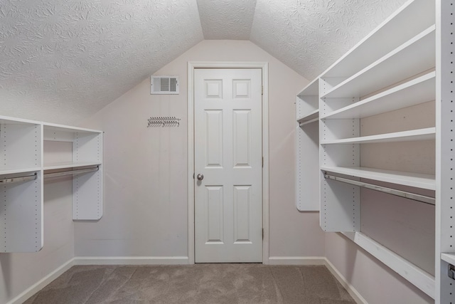7310 Westport Loop, Midland, GA 31820 - walk in closet featuring lofted ceiling and carpet floors