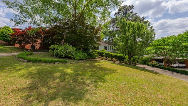 view of grassy yard