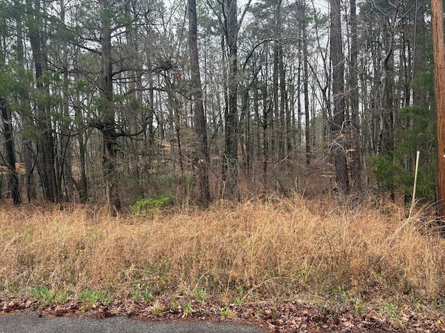 Listing photo 3 for LOT100M Mountain Laurel Dr, Waverly Hall GA 31831