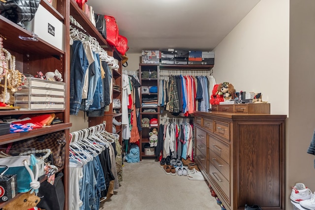 51 New Castle Dr, Phenix City, AL 36870 - view of walk in closet