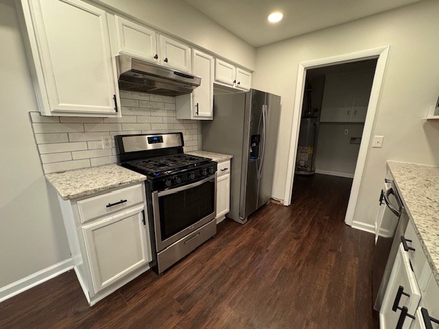 kitchen featuring dark wood-style floors, under cabinet range hood, and stainless steel appliances