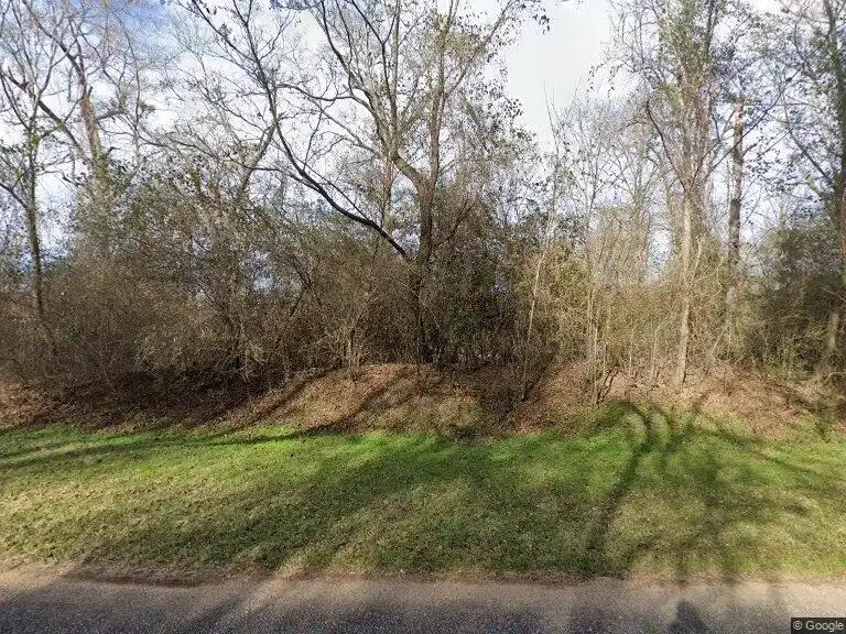 1136 Raybon Rd, Ellaville, GA 31806