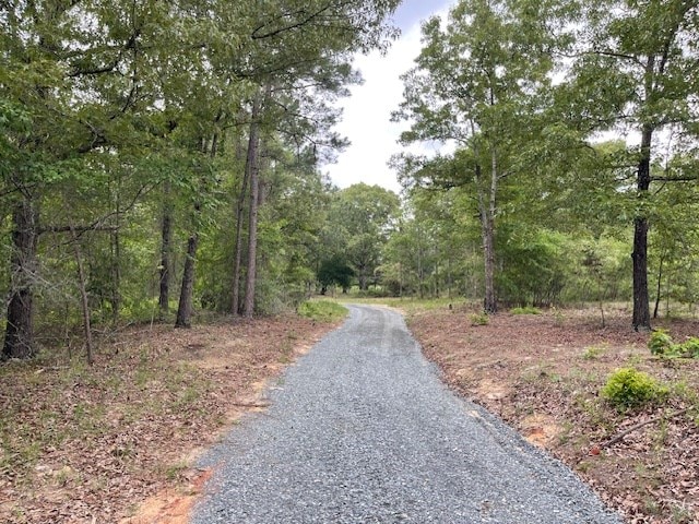 62 Brannon Montgomery Rd, Mauk, GA 31058 - view of street with a wooded view